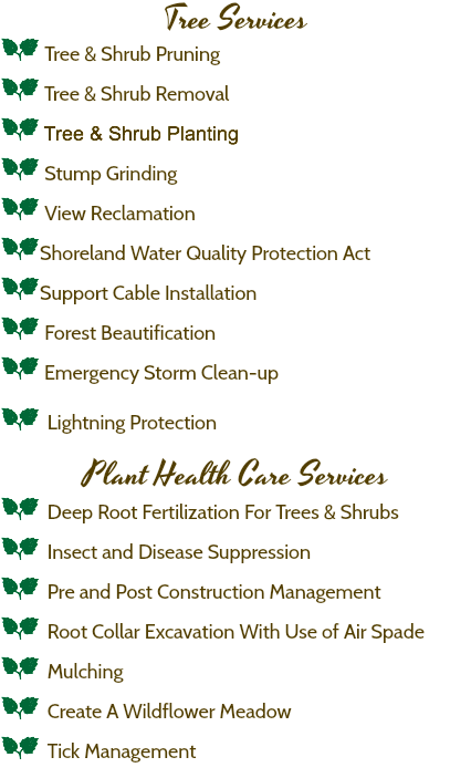 Tree Services a Tree & Shrub Pruning a Tree & Shrub Removal a Tree & Shrub Planting a Stump Grinding a View Reclamation aShoreland Water Quality Protection Act aSupport Cable Installation a Forest Beautification a Emergency Storm Clean-up a Lightning Protection Plant Health Care Services a Deep Root Fertilization For Trees & Shrubs a Insect and Disease Suppression a Pre and Post Construction Management a Root Collar Excavation With Use of Air Spade a Mulching a Create A Wildflower Meadow a Tick Management