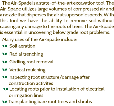 The Air-Spade is a state-of-the-art excavation tool. The Air-Spade utilizes large volumes of compressed air and a nozzle that disperses the air at supersonic speeds. With this tool we have the ability to remove soil without causing any damage to the roots of trees. The Air-Spade is essential in uncovering below grade root problems. Many uses of the Air-Spade include: a Soil aeration a Radial trenching a Girdling root removal a Vertical mulching a Inspecting root structure/damage after construction activites a Locating roots prior to installation of electrical or irrigation lines a Transplanting bare root trees and shrubs