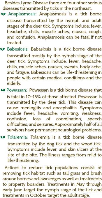 Besides Lyme Disease there are four other serious diseases transmitted by ticks in the northeast. a Anaplasmosis: Anaplasmosis is a tick borne disease transmitted by the nymph and adult stages of the deer tick. Symptoms include: fever, headache, chills, muscle aches, nausea, cough, and confusion. Anaplasmosis can be fatal if not treated. a Babesiosis: Babasiosis is a tick borne disease transmitted mostly by the nymph stage of the deer tick. Symptoms include: fever, headache, chills, muscle aches, nausea, sweats, body ache, and fatigue. Babesiosis can be life-threatening in people with certain medical conditions and the elderly. a Powassan: Powassan is a tick borne disease that is fatal in 10-15% of those affected. Powassan is transmitted by the deer tick. This disease can cause meningitis and encephalitis. Symptoms include fever, headache, vomiting, weakness, confusion, loss of coordination, speech difficulties, and seizures. Approximately half of all survivors have permanent neurological problems. a Tolaremia: Tolaremia is a tick borne disease transmitted by the dog tick and the wood tick. Symptoms include fever, and skin ulcers at the site of the bite. The illness ranges from mild to life-threatening. Actions to reduce tick populations consist of removing tick habitat such as tall grass and brush around homes and lawn edges as well as treatments to property boarders. Treatments in May through early June target the nymph stage of the tick and treatments in October target the adult stage. 